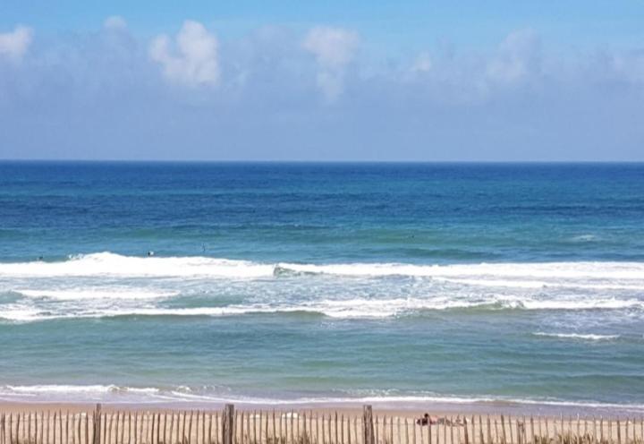 L'Ocean&Dunes Vue A 180° En Bord De Plage Lacanau Exteriör bild
