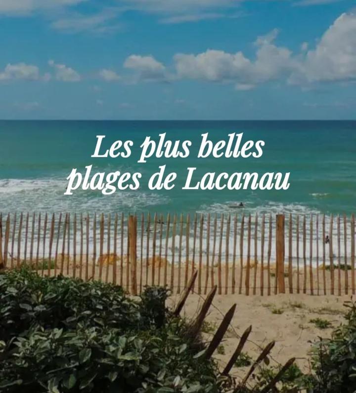 L'Ocean&Dunes Vue A 180° En Bord De Plage Lacanau Exteriör bild